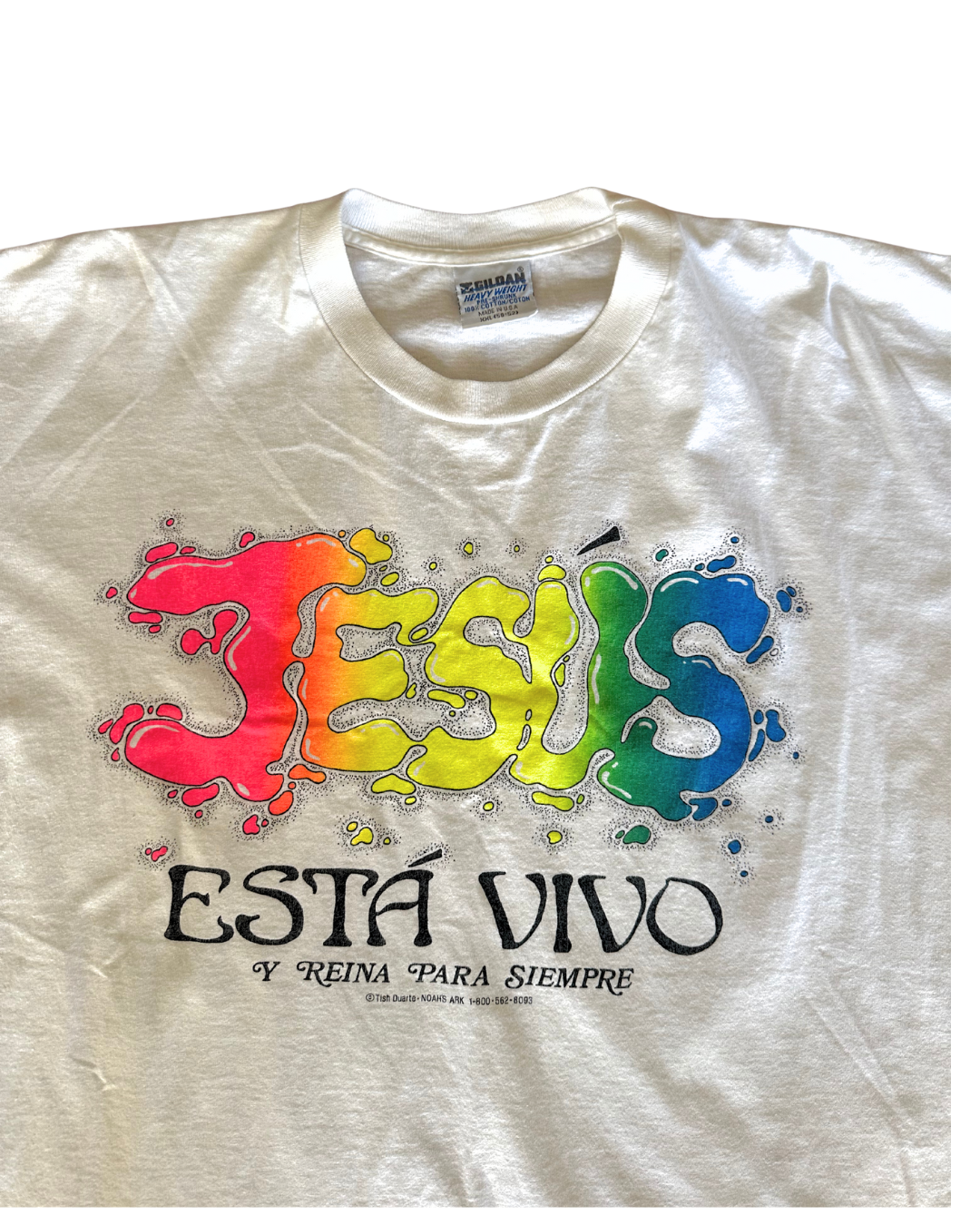 "JESUS" 30x24